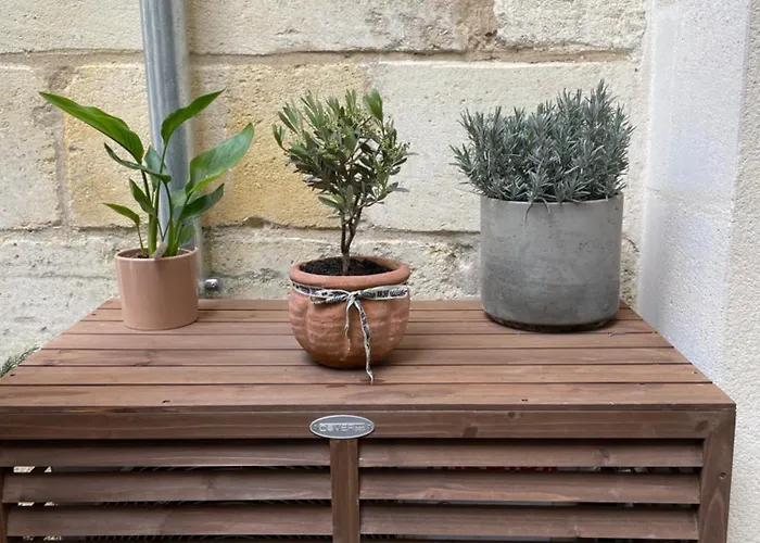 Maison Jeanne بوردو